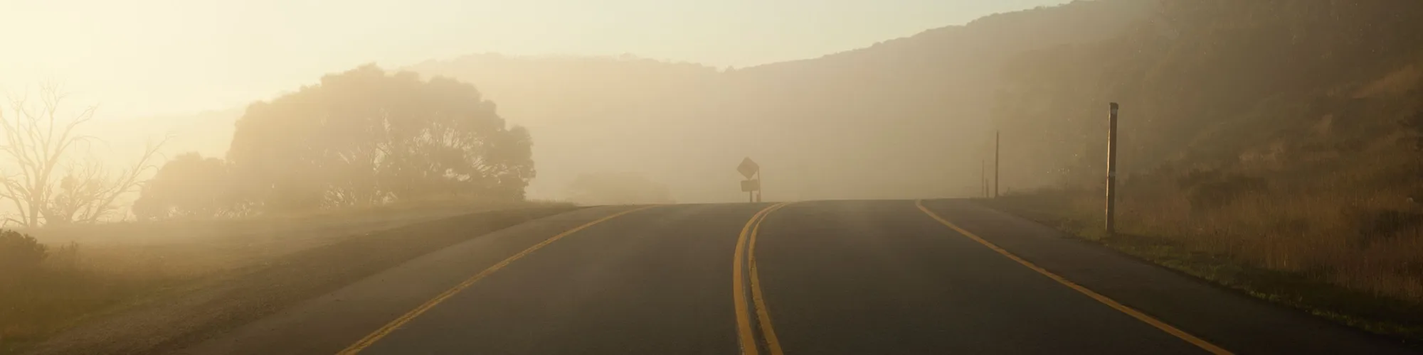 Roadside